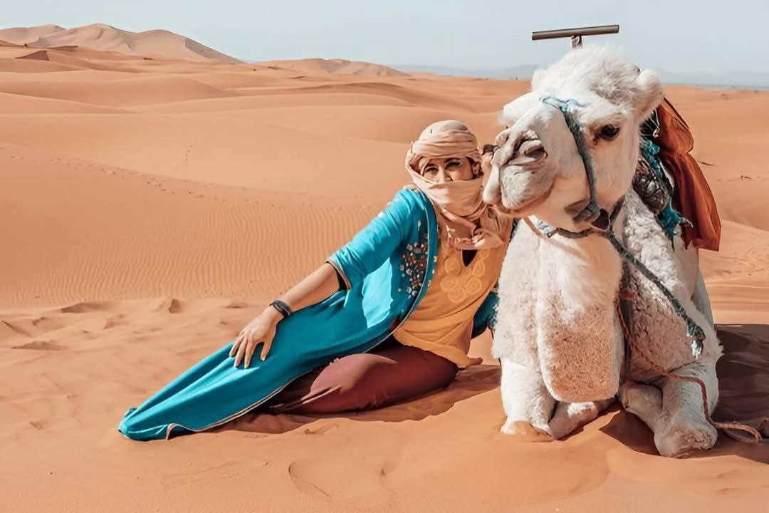 Desert Camel Trek Merzuga Kültér fotó